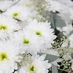 公寓 Chesa Piz Padella - St- Moritz By Interhome