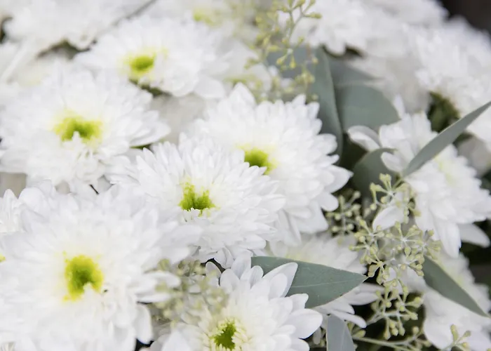 アパート Chesa Piz Padella - St- Moritz By Interhome